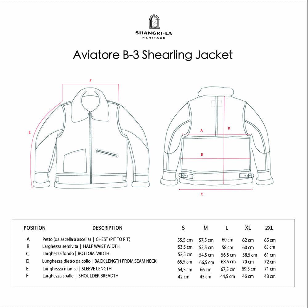 Veste "Aviatore" B-3