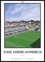 Affiche Stade Amédée Domenech